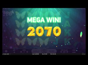 Butterfly-Staxx_SS-03