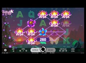 Butterfly-Staxx_SS-05