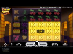 Twin-spin-Deluxe_SS-03